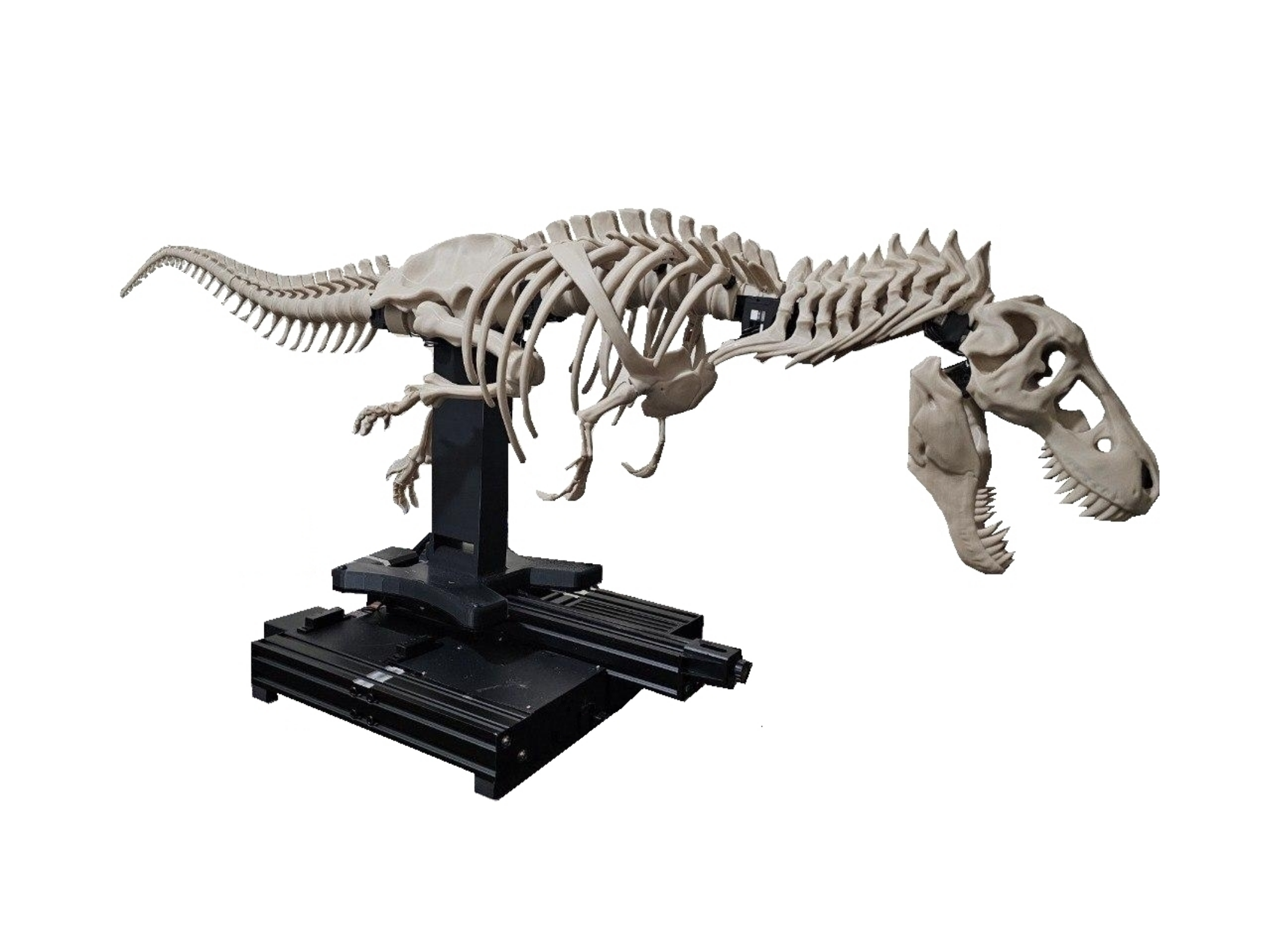 Project Dino Image